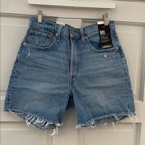 Levi's Blue Denim Cutoff Shorts